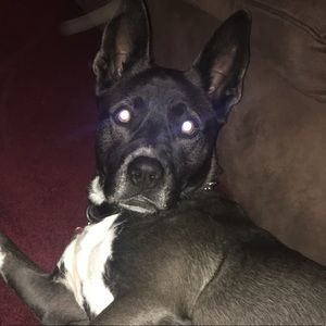 Meet your Posher, Candy